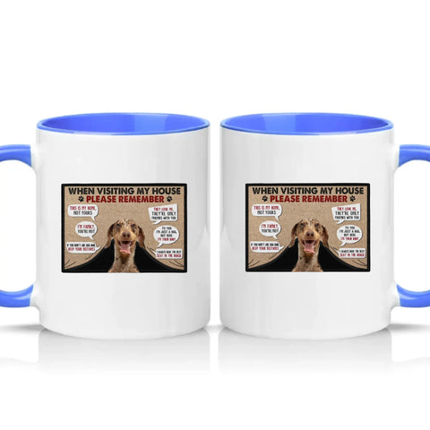 Two Tone 11oz Mug Medium Blue