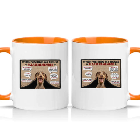 Two Tone 11oz Mug Orange