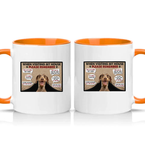 Personalised Pet House Rules Mug – Custom Photo Gift – Orange